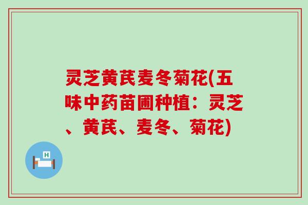 灵芝黄芪麦冬菊花(五味中药苗圃种植：灵芝、黄芪、麦冬、菊花)