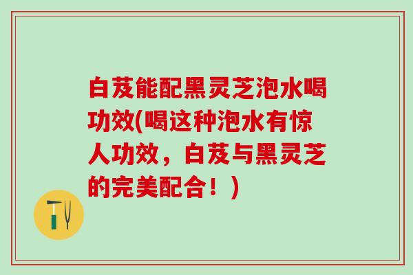 白芨能配黑灵芝泡水喝功效(喝这种泡水有惊人功效，白芨与黑灵芝的完美配合！)