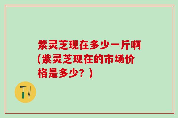 紫灵芝现在多少一斤啊(紫灵芝现在的市场价格是多少？)