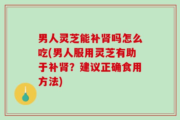 男人灵芝能补肾吗怎么吃(男人服用灵芝有助于补肾？建议正确食用方法)
