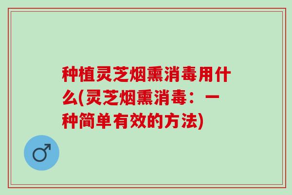 种植灵芝烟熏消毒用什么(灵芝烟熏消毒：一种简单有效的方法)