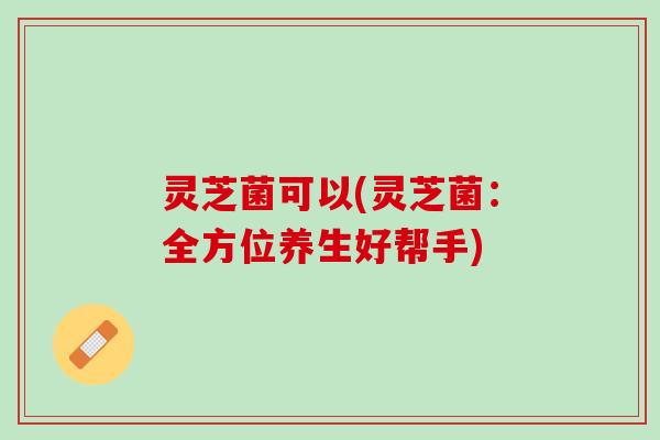 灵芝菌可以(灵芝菌：全方位养生好帮手)
