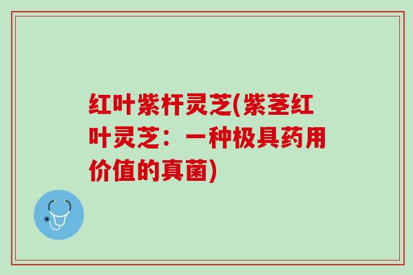 红叶紫杆灵芝(紫茎红叶灵芝:一种极具药用价值的真菌) 红叶紫杆灵芝(紫茎红叶灵芝:一种极具药用价值的真菌)