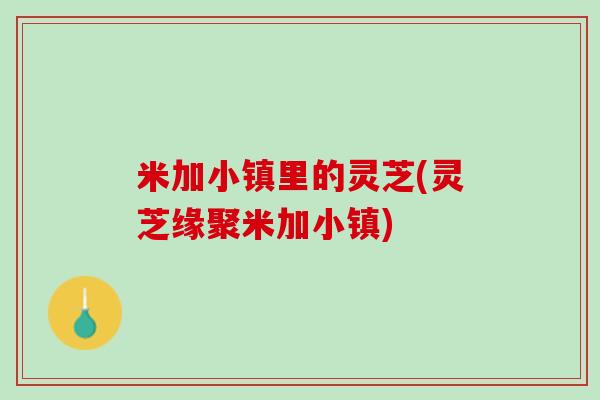 米加小镇里的灵芝(灵芝缘聚米加小镇)