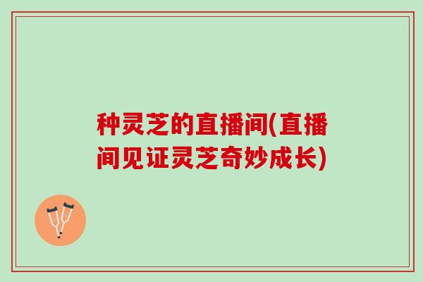 种灵芝的直播间(直播间见证灵芝奇妙成长)