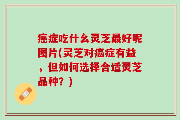 癌症吃什幺灵芝最好呢图片(灵芝对癌症有益，但如何选择合适灵芝品种？)