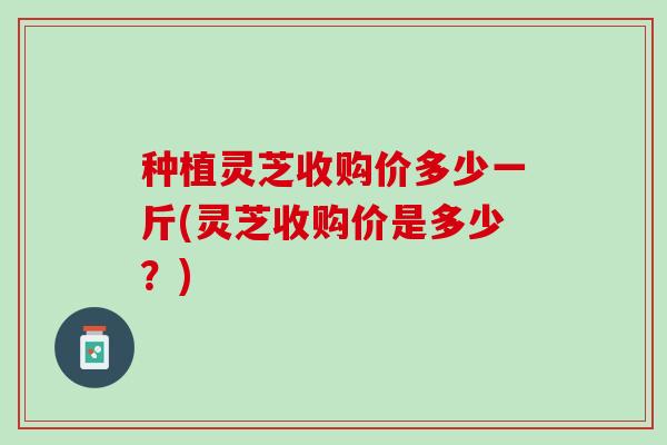 种植灵芝收购价多少一斤(灵芝收购价是多少？)