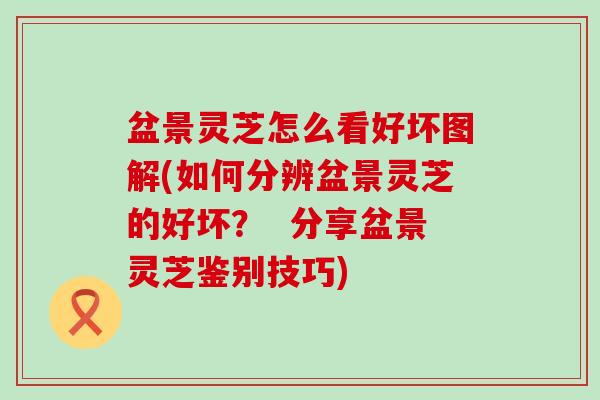 盆景灵芝怎么看好坏图解(如何分辨盆景灵芝的好坏？  分享盆景灵芝鉴别技巧)