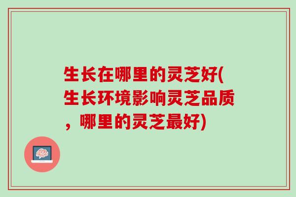 生长在哪里的灵芝好(生长环境影响灵芝品质，哪里的灵芝最好)