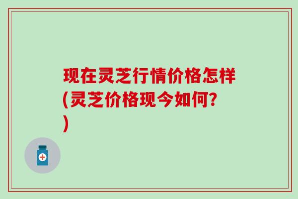 现在灵芝行情价格怎样(灵芝价格现今如何？)