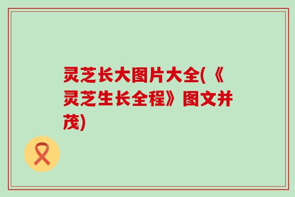 灵芝长大图片大全(《灵芝生长全程》图文并茂)