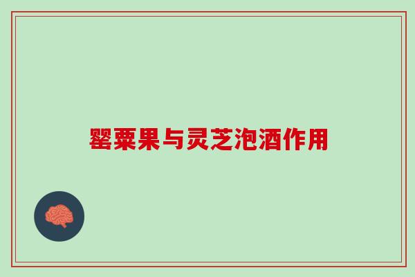 罂粟果与灵芝泡酒作用
