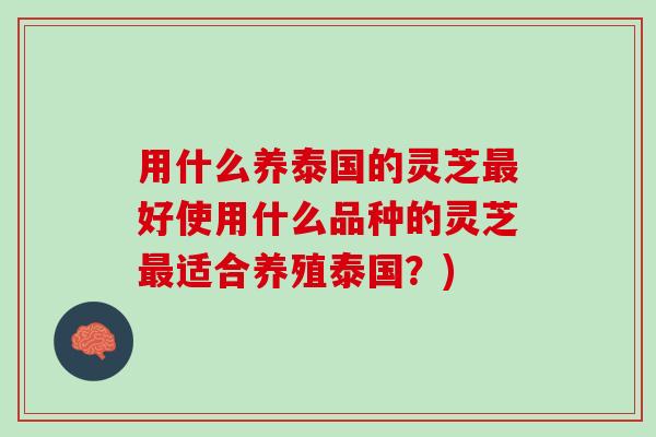 用什么养泰国的灵芝最好使用什么品种的灵芝最适合养殖泰国？)