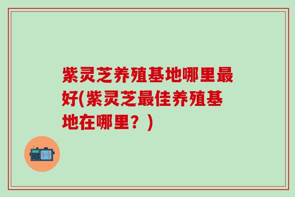 紫灵芝养殖基地哪里最好(紫灵芝最佳养殖基地在哪里？)