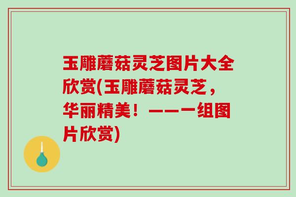 玉雕蘑菇灵芝图片大全欣赏(玉雕蘑菇灵芝，华丽精美！——一组图片欣赏)