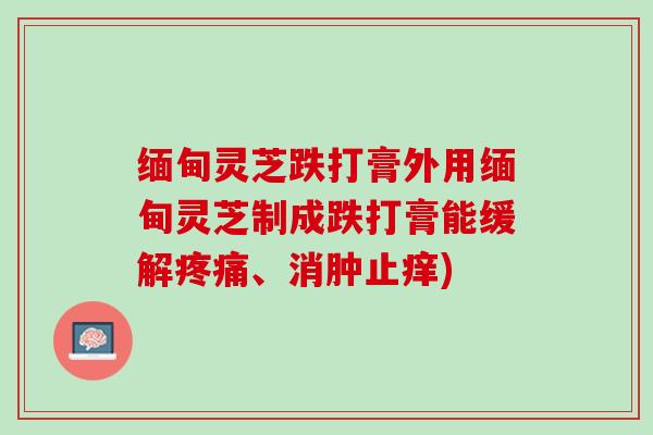 缅甸灵芝跌打膏外用缅甸灵芝制成跌打膏能缓解疼痛、消肿止痒)