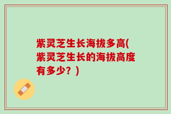 紫灵芝生长海拔多高(紫灵芝生长的海拔高度有多少？)