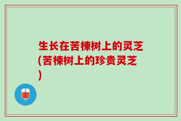生长在苦楝树上的灵芝(苦楝树上的珍贵灵芝)