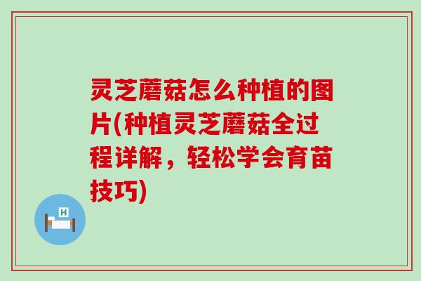 灵芝蘑菇怎么种植的图片(种植灵芝蘑菇全过程详解，轻松学会育苗技巧)