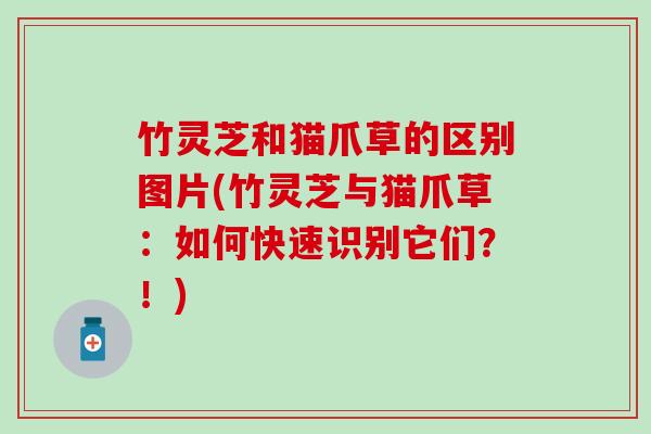 竹灵芝和猫爪草的区别图片(竹灵芝与猫爪草：如何快速识别它们？！)