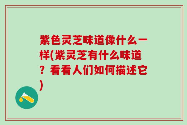 紫色灵芝味道像什么一样(紫灵芝有什么味道？看看人们如何描述它)