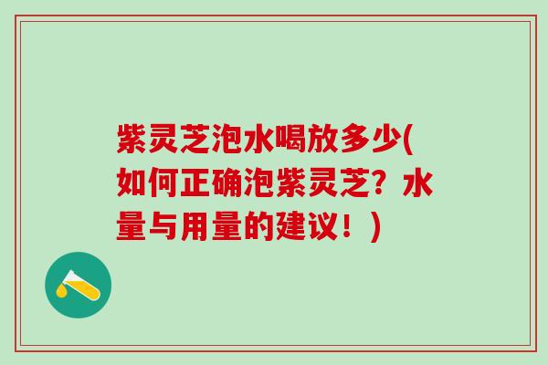 紫灵芝泡水喝放多少(如何正确泡紫灵芝？水量与用量的建议！)