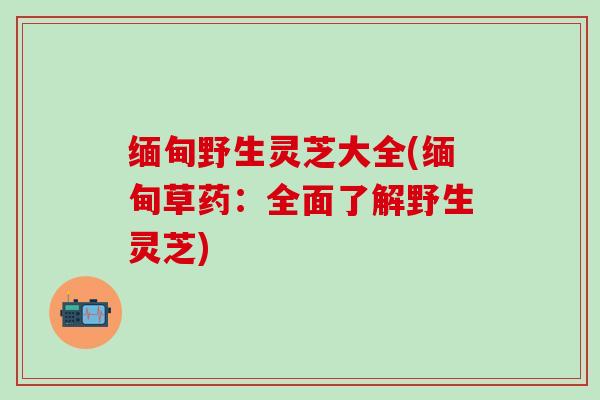 缅甸野生灵芝大全(缅甸草药：全面了解野生灵芝)