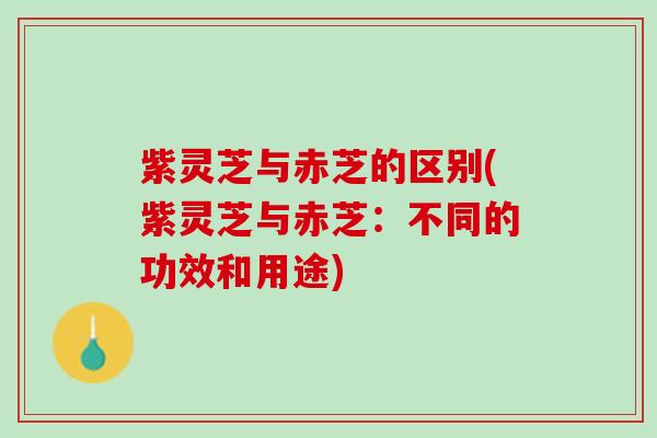 紫灵芝与赤芝的区别(紫灵芝与赤芝：不同的功效和用途)