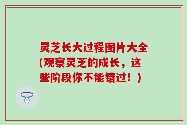 灵芝长大过程图片大全(观察灵芝的成长，这些阶段你不能错过！)