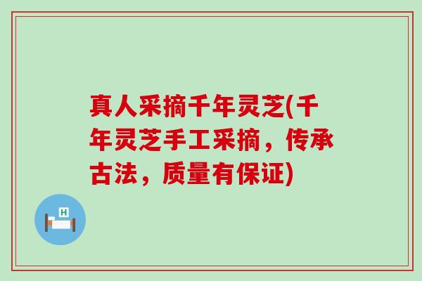 真人采摘千年灵芝(千年灵芝手工采摘，传承古法，质量有保证)