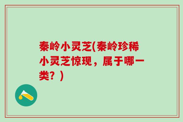 秦岭小灵芝(秦岭珍稀小灵芝惊现，属于哪一类？)