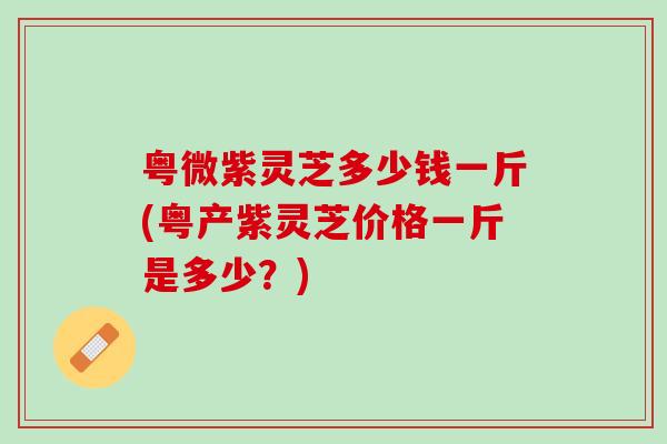 粤微紫灵芝多少钱一斤(粤产紫灵芝价格一斤是多少？)