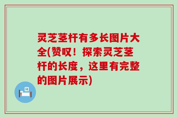 灵芝茎杆有多长图片大全(赞叹！探索灵芝茎杆的长度，这里有完整的图片展示)