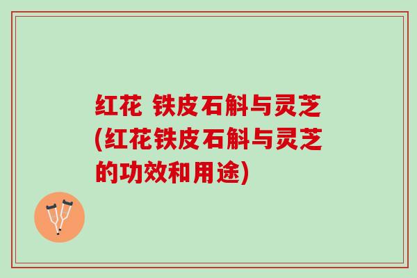 红花 铁皮石斛与灵芝(红花铁皮石斛与灵芝的功效和用途)