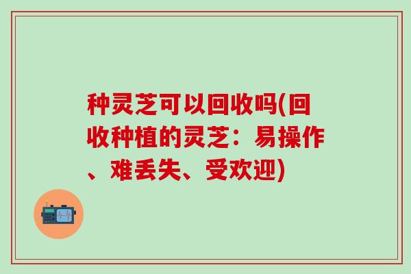 种灵芝可以回收吗(回收种植的灵芝：易操作、难丢失、受欢迎)