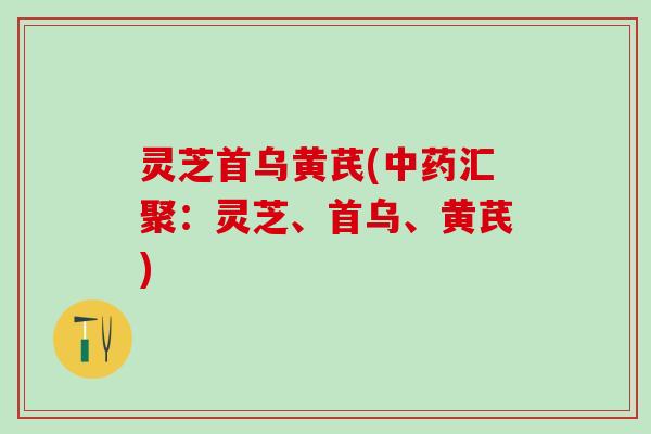 灵芝首乌黄芪(中药汇聚：灵芝、首乌、黄芪)