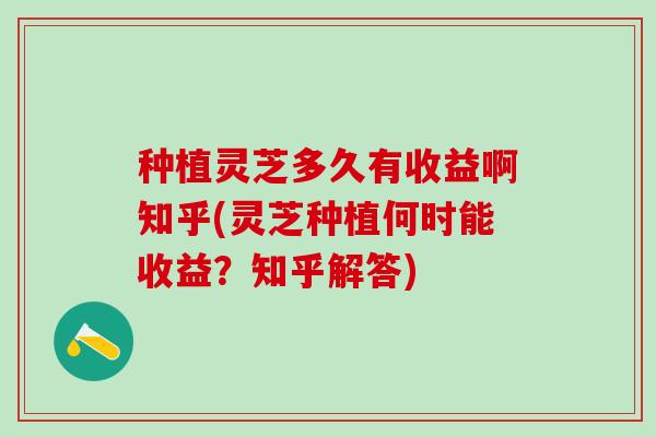 种植灵芝多久有收益啊知乎(灵芝种植何时能收益？知乎解答)