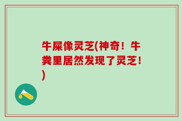 牛屎像灵芝(神奇！牛粪里居然发现了灵芝！)