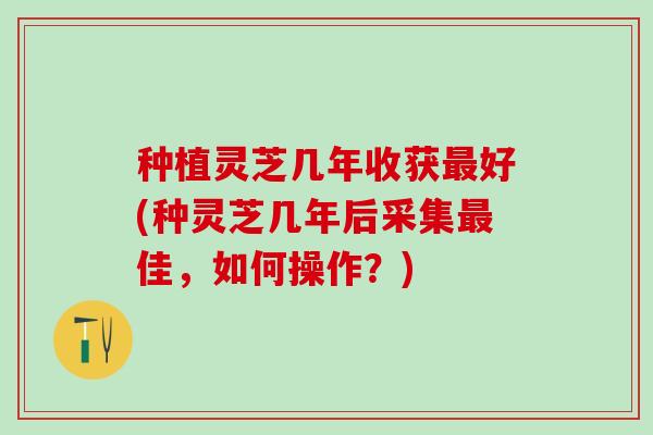 种植灵芝几年收获最好(种灵芝几年后采集最佳，如何操作？)
