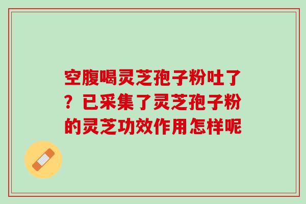 空腹喝灵芝孢子粉吐了？已采集了灵芝孢子粉的灵芝功效作用怎样呢