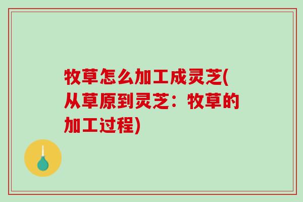 牧草怎么加工成灵芝(从草原到灵芝：牧草的加工过程)