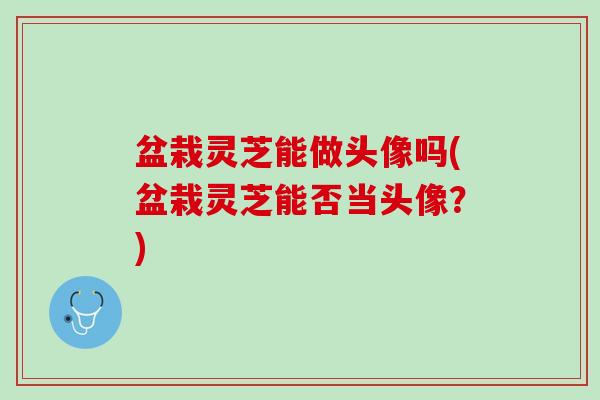 盆栽灵芝能做头像吗(盆栽灵芝能否当头像？)