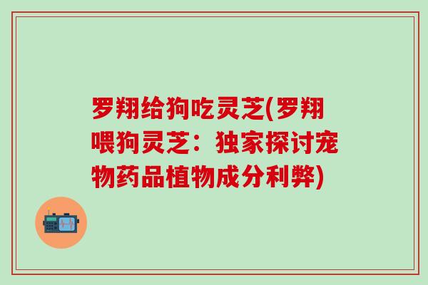 罗翔给狗吃灵芝(罗翔喂狗灵芝：独家探讨宠物药品植物成分利弊)