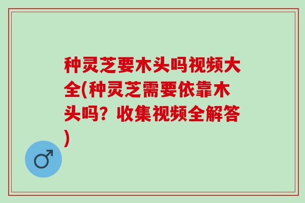 种灵芝要木头吗视频大全(种灵芝需要依靠木头吗？收集视频全解答)