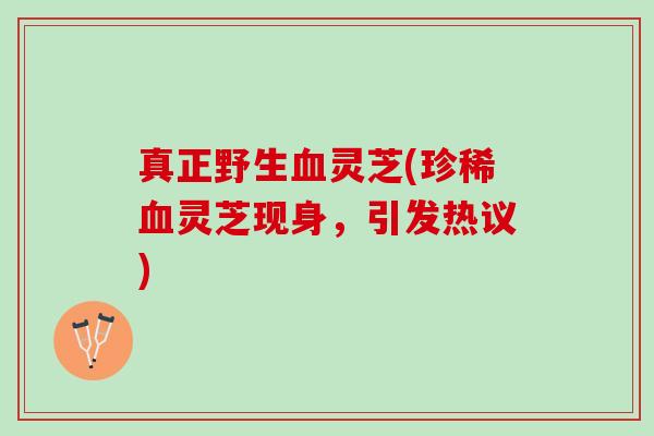 真正野生血灵芝(珍稀血灵芝现身，引发热议)
