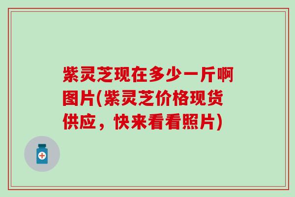 紫灵芝现在多少一斤啊图片(紫灵芝价格现货供应，快来看看照片)