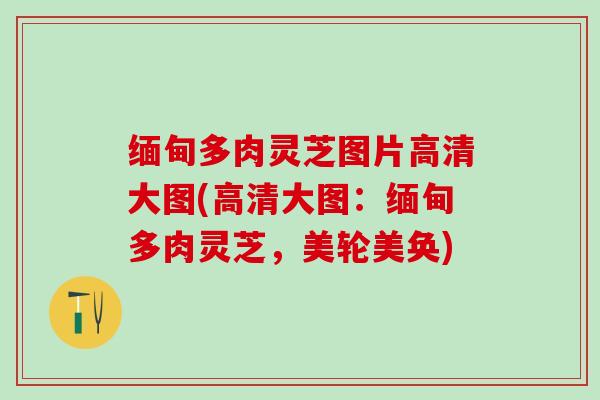 缅甸多肉灵芝图片高清大图(高清大图：缅甸多肉灵芝，美轮美奂)