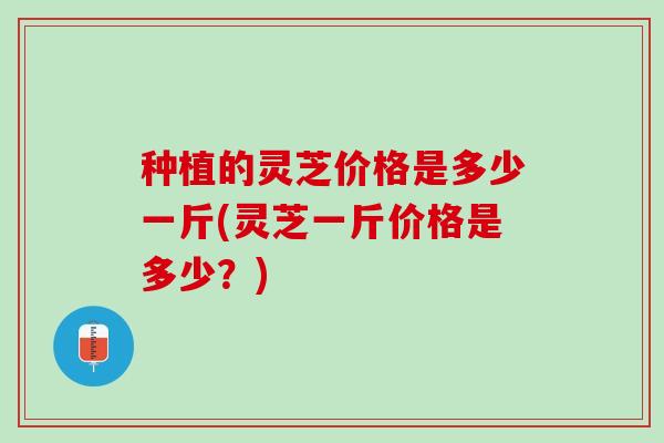 种植的灵芝价格是多少一斤(灵芝一斤价格是多少？)