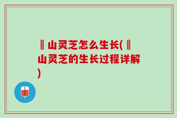 矷山灵芝怎么生长(矷山灵芝的生长过程详解)