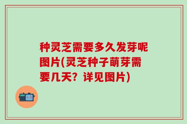 种灵芝需要多久发芽呢图片(灵芝种子萌芽需要几天？详见图片)